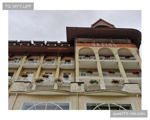 雷吉纳阵容深度分析,揭示新赛季竞争力与潜力走势清晰 雷吉纳阵容深度分析,揭示新赛季竞争力与潜力走势清晰