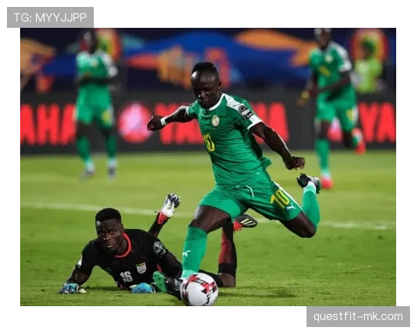 非洲国家杯最新媒体评论与赛事分析